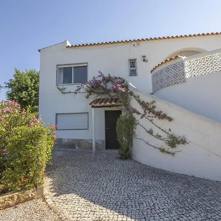 Casa Da Palmeira *